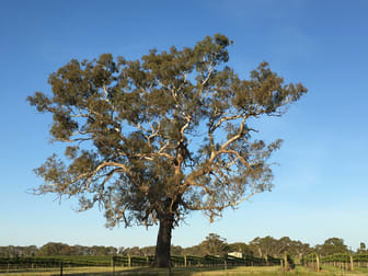 89 Nolans Road Hynam SA 5262 - Image 3