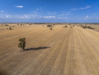 279 West Plains Road Corinella NSW 2871 - Image 1