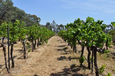 18L Camp Road Dubbo NSW 2830 - Image 3