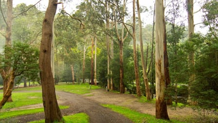 Tarra Valley VIC 3971 - Image 1