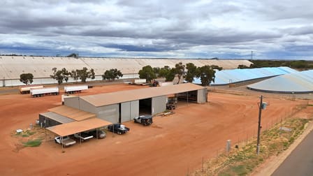 Lot 8 Gabo Avenue Merredin WA 6415 - Image 3