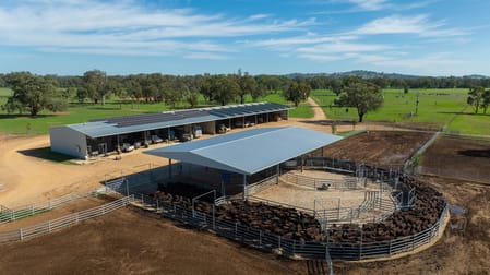 Click to view all images 1948 Coach Road Morven NSW 2660 - Image 2