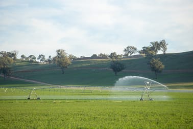 Click to view all images 1948 Coach Road Morven NSW 2660 - Image 3