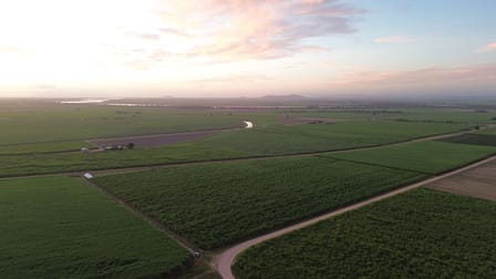 79 Webber Road Ayr QLD 4807 - Image 1