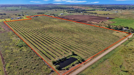 233 Back Springfield Road Woongarra QLD 4670 - Image 2