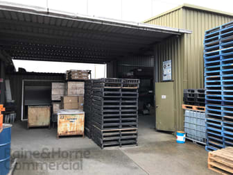 B/101 Old Pittwater Road Brookvale NSW 2100 - Image 2