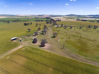 . Urana & Klinberg Road Jindera NSW 2642 - Image 1