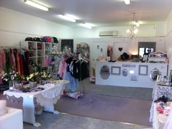 117 Lawes Street East Maitland NSW 2323 - Image 1