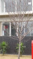 /82 Lorimer Docklands VIC 3008 - Image 2