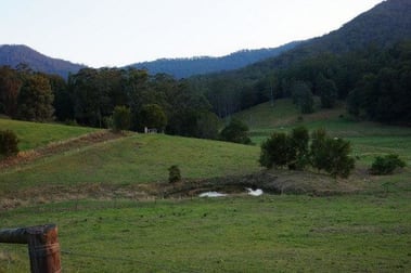 439 Upper Buckra Bendinni Bowraville NSW 2449 - Image 1