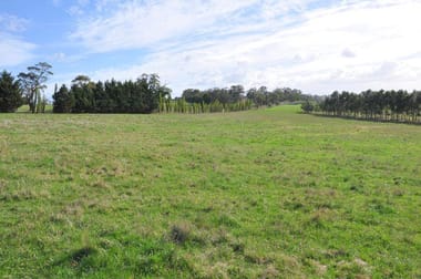 Yarragon-Shady Creek Road Yarragon VIC 3823 - Image 3