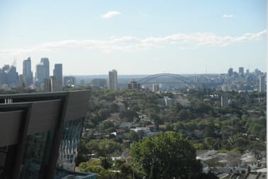 806/251 Oxford Street Bondi Junction NSW 2022 - Image 3