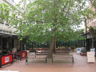 5 & 5a Theatre Place Canterbury VIC 3126 - Image 2