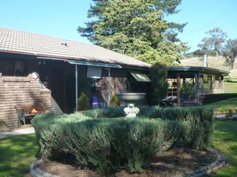 390 Echo Hills Rd Dungowan NSW 2340 - Image 3
