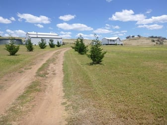 94 Kirribilli Road Canowindra NSW 2804 - Image 1