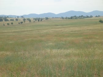 341 Oxley lane Tamworth NSW 2340 - Image 1