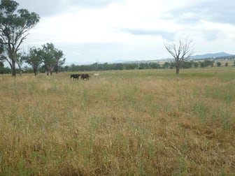 341 Oxley lane Tamworth NSW 2340 - Image 2