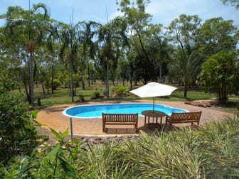 Darwin NT 800 - Image 3