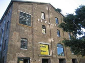 56 Bowman St Pyrmont NSW 2009 - Image 1