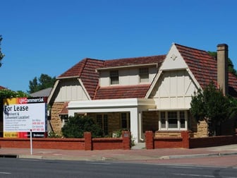 227 Henley Beach Road Torrensville SA 5031 - Image 1