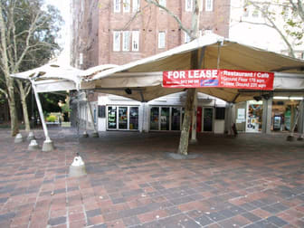 1A/2 Elizabeth Bay Road Potts Point NSW 2011 - Image 1