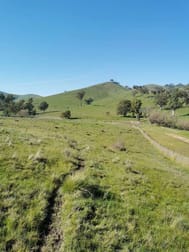 96 Taits Lane Yarck VIC 3719 - Image 1