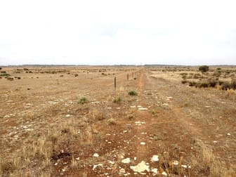 Lot 70 Eyre Highway Coorabie SA 5690 - Image 3