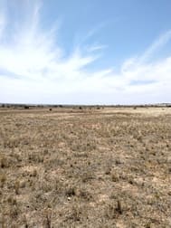Lot 70 Eyre Highway Coorabie SA 5690 - Image 1