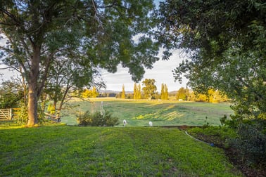 242 Segenhoe Road Scone NSW 2337 - Image 3