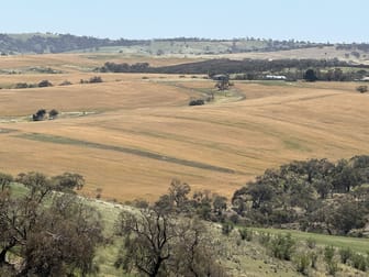 663 Marola Road Brinkworth SA 5464 - Image 1