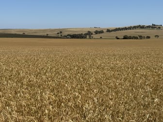 663 Marola Road Brinkworth SA 5464 - Image 3