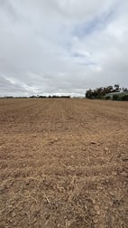 70 Lemnos North Road Lemnos VIC 3631 - Image 2