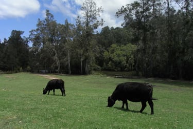 Port Macquarie NSW 2444 - Image 3