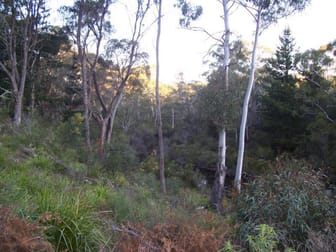 Lot 2, 77 Fernbrook Road Nerriga NSW 2622 - Image 3