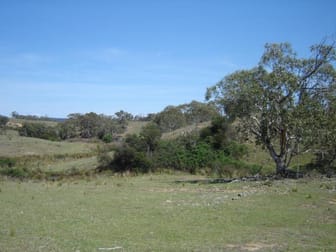 4/646 Stewarts Crossing Road Braidwood NSW 2622 - Image 3