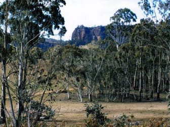 145 Meangora Road Nerriga NSW 2622 - Image 1