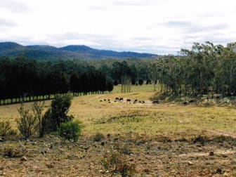 145 Meangora Road Nerriga NSW 2622 - Image 2