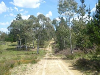 Lot 33 Nerriga Road Nerriga NSW 2622 - Image 1