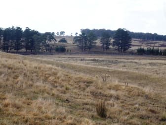 Lot 1 Sandy Point Road Windellama NSW 2580 - Image 3