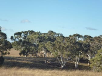Lot 2 Sandy Point Road Windellama NSW 2580 - Image 3