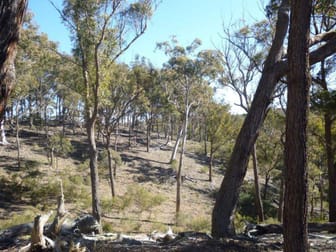 340 Willow Forest Road Nerriga NSW 2622 - Image 2