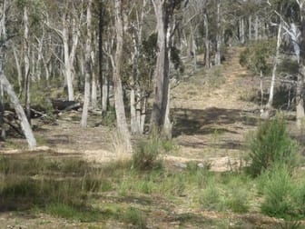 340 Willow Forest Road Nerriga NSW 2622 - Image 3
