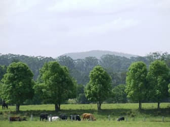 Rawdon Island NSW 2446 - Image 3