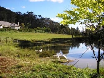 Glencoe NSW 2365 - Image 1