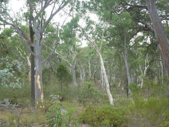 256 Jerralong Road Windellama NSW 2580 - Image 3