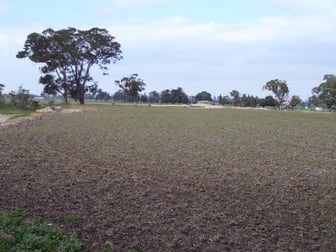 Click to view all images 29 Hill Street Toongabbie VIC 3856 - Image 3