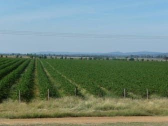 Click to view all images Billimari NSW 2804 - Image 1