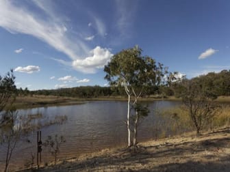31 Curra Lane Tarago NSW 2580 - Image 3