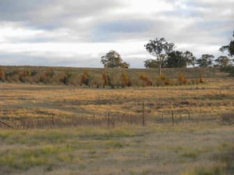 O'connell NSW 2795 - Image 1