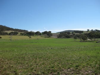 Lot 8 Cleland Gully Road Tooperang SA 5255 - Image 1